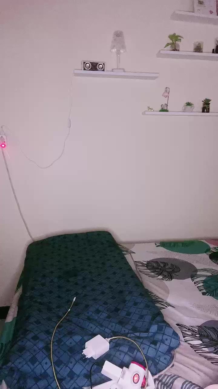 20241003033325 Bokep Live