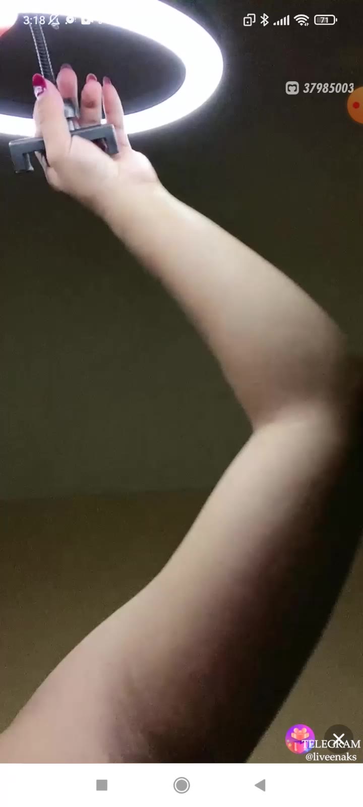 20241003045854 Bokep Live