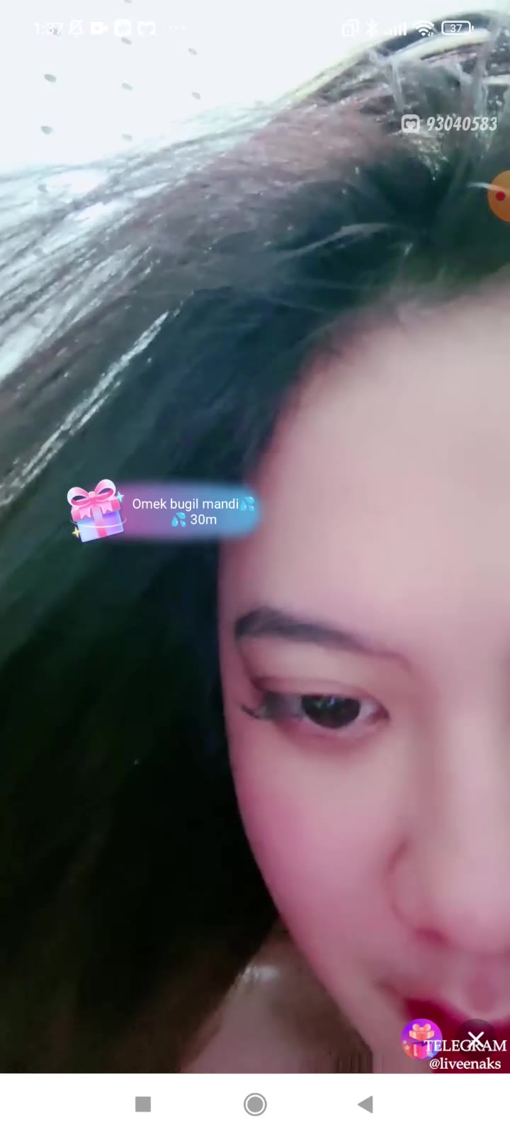 20241003051942 Bokep Live