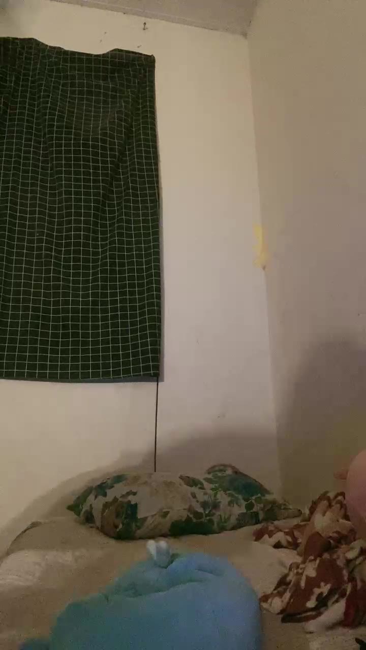 20241205120037 Bokep Live