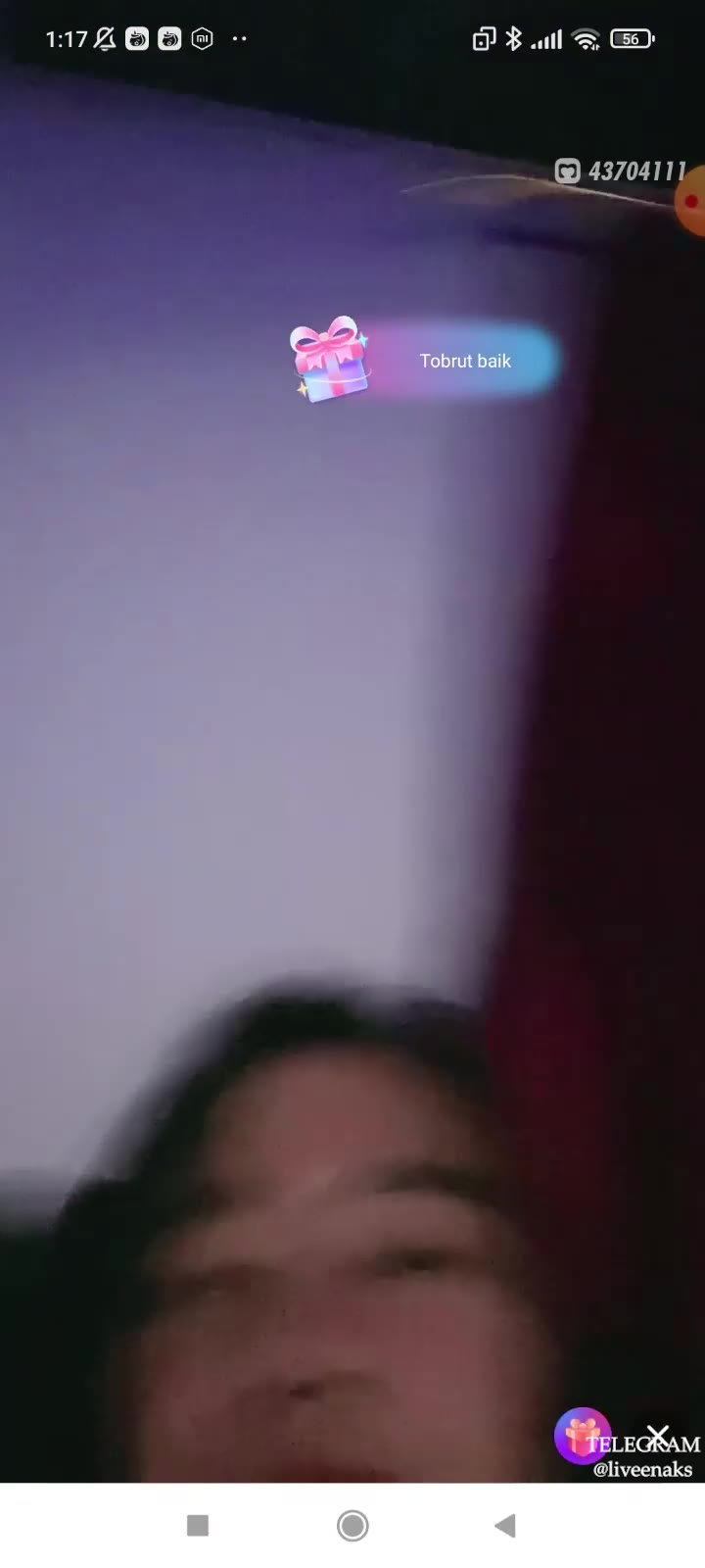 20241205144426 Bokep Live