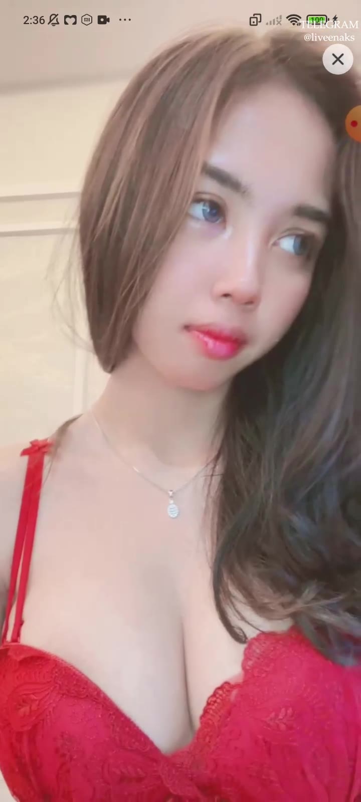 20241205152331 Bokep Live