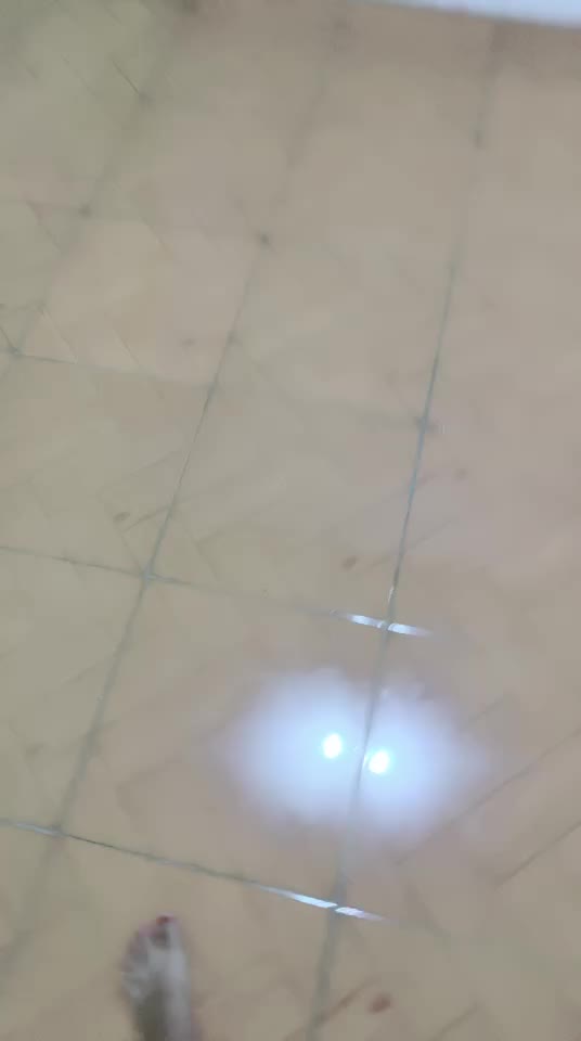 Jasmine ID 2308882 Papaya Live