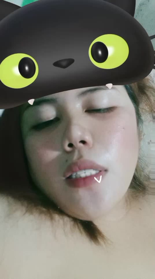 roses ID 5222919 Papaya Live 