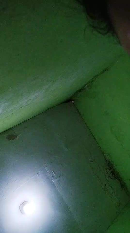 HDCantik ID 4051236 Papaya Live 