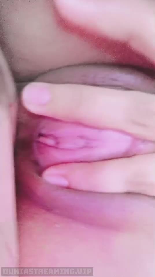 Fira ID 2863648 Papaya Live 