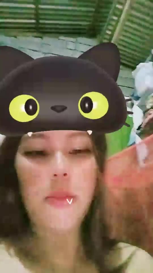 ɱg ID 4692388 Papaya Live