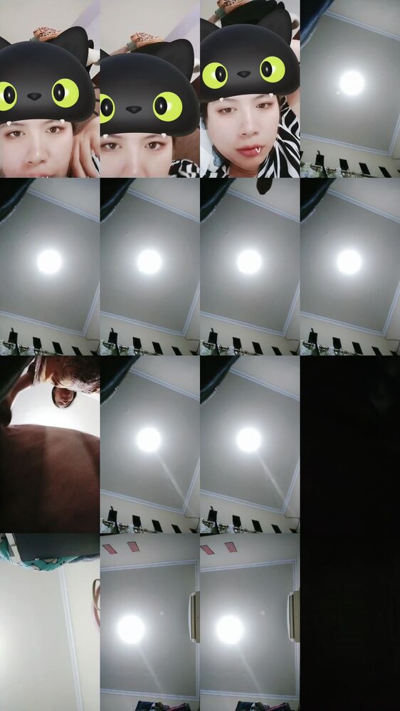 dira ID 4651286 Papaya Live