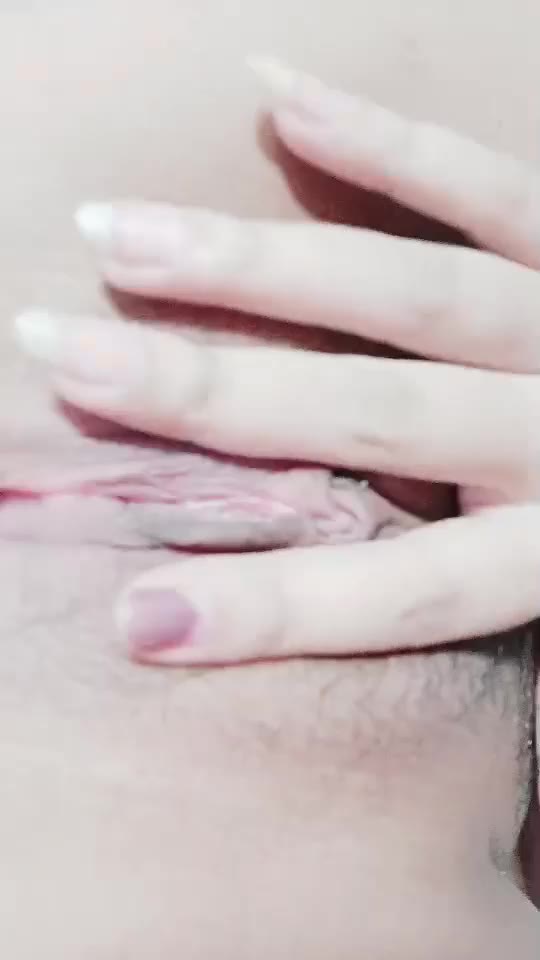 HDGOne ID 4186570 Papaya Live 