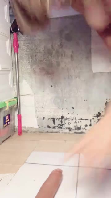 Bellalove ID 1696516103506153473 Hot51 telegram bot @DSrecordbot