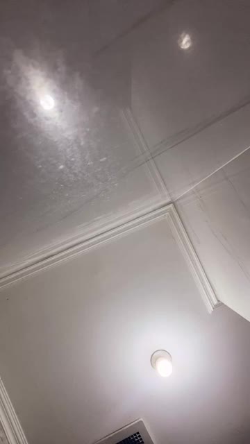 Sisylllll ID 1820682497273024513 Hot51 telegram bot @DSrecordbot