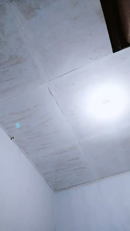 Libraa ID 4369621 Papaya Live 