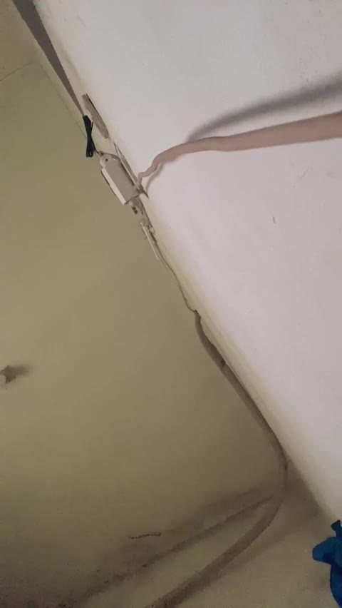 Noyek ID 1850887671891124225 Hot51 