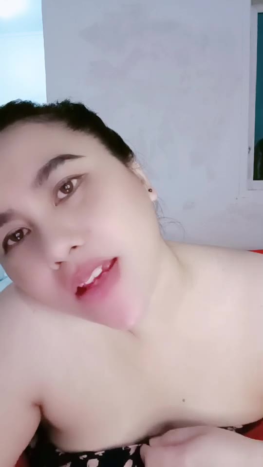 Tteh ID 180558 Papaya Live 